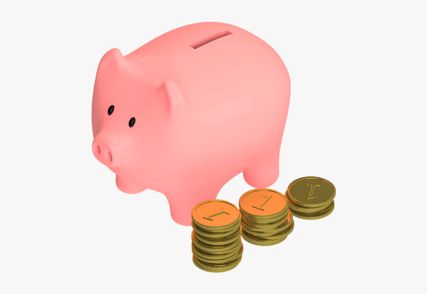 Pig, Animal, Snout, Money, Coins, Piggy, Save, Pennies - Porquinho De Moedas Png, Transparent Png, Free Download