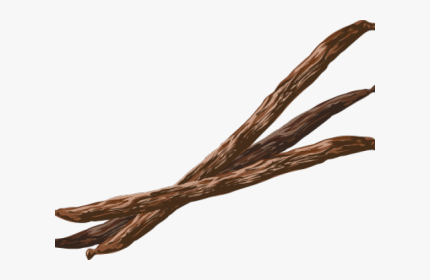 Coffee Beans Clipart Vanilla Bean - Vanilla Bean Clipart, HD Png Download, Free Download