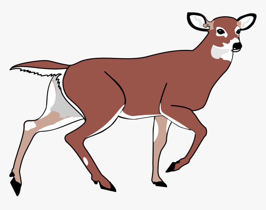 Deer Black And White Images Png Images Clipart - Walking Deer Clipart, Transparent Png, Free Download