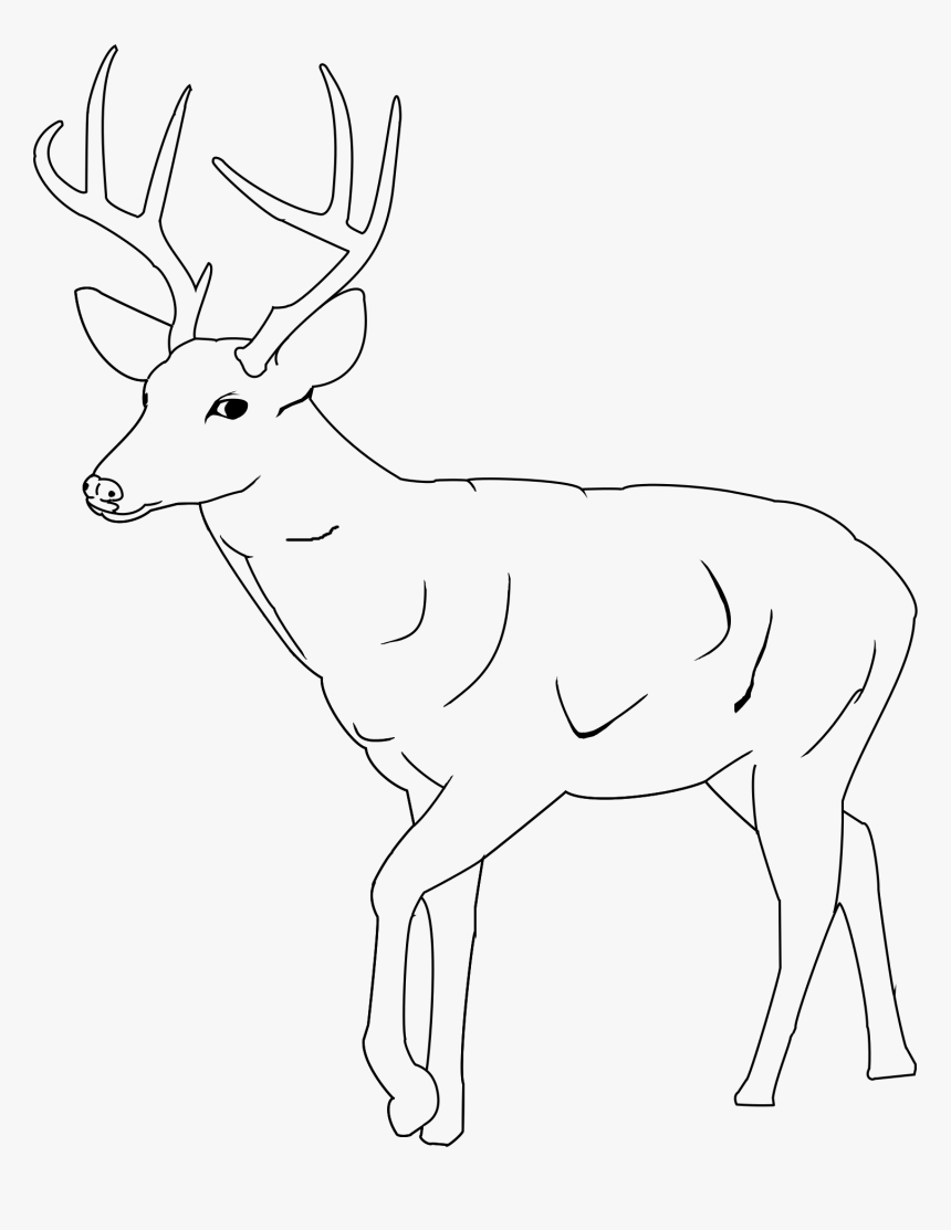 Transparent Reindeer Antler Png - Easy Mule Deer Drawings, Png Download, Free Download