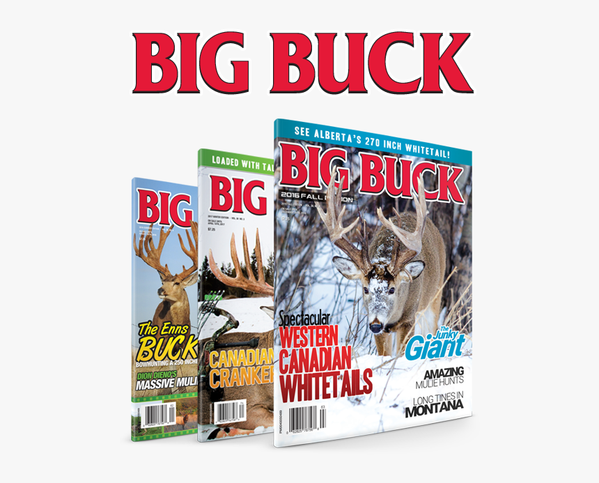 Big Buck Magazine Logo, HD Png Download, Free Download