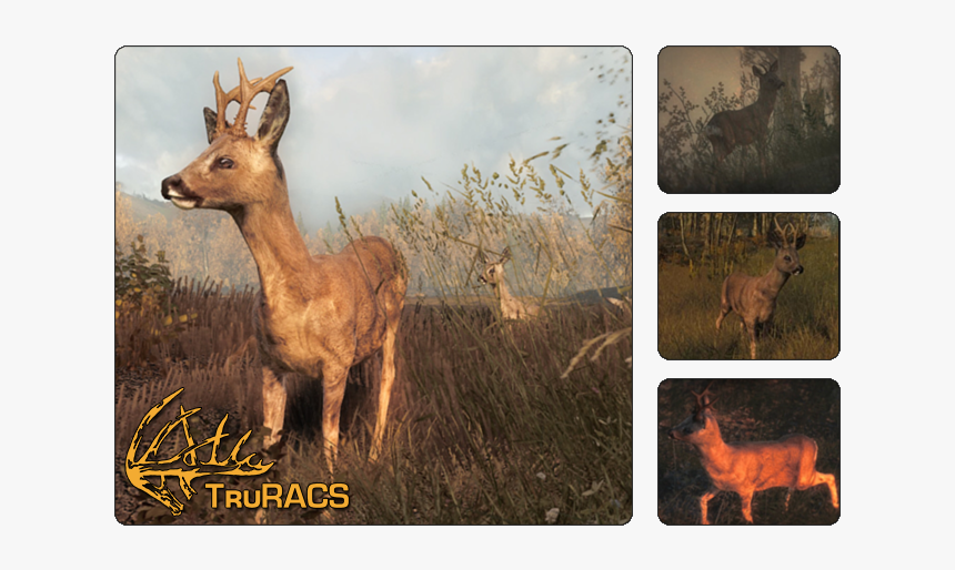 Hunter Call Of The Wild Roe Deer, HD Png Download, Free Download