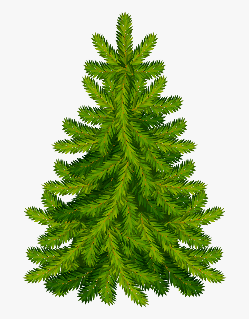 Christmas Tree, HD Png Download, Free Download