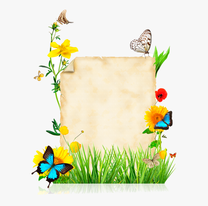 Butterfly Borders And Frames, HD Png Download, Free Download