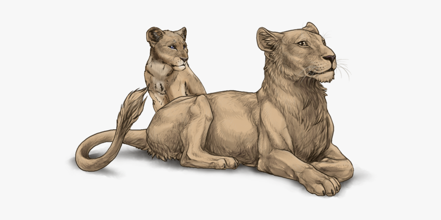 Lioness And Cubs Png, Transparent Png, Free Download