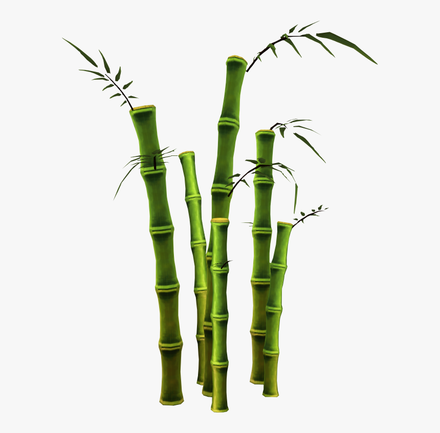 Bamboo - Transparent Bamboo Plant Png, Png Download, Free Download