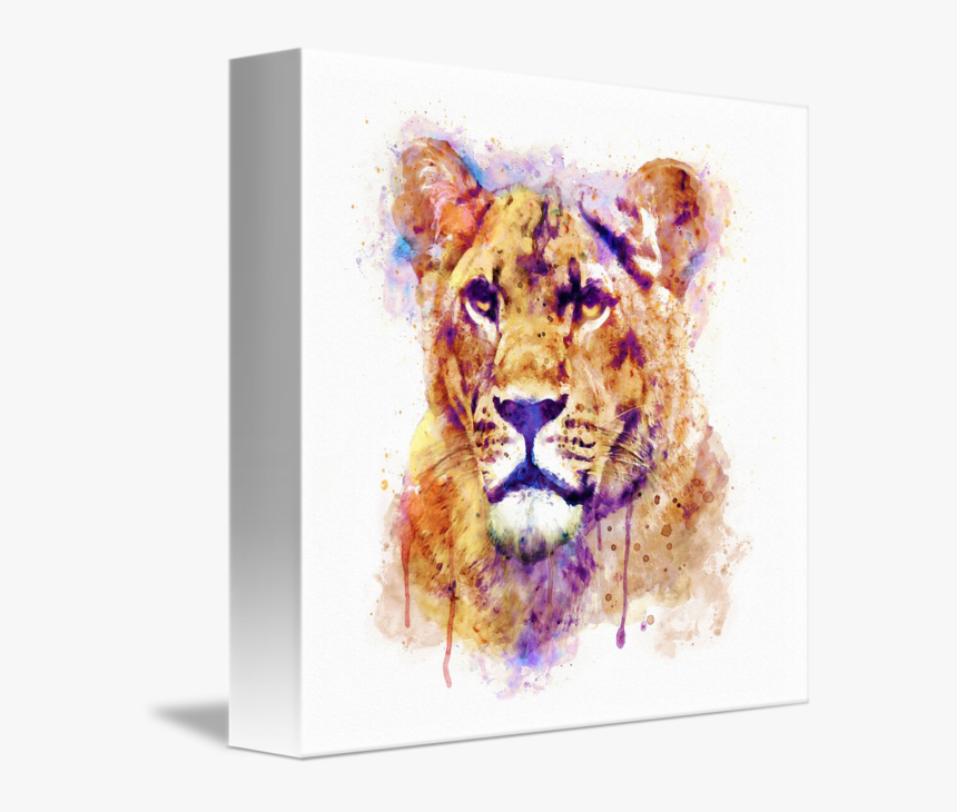 Lioness Art Transparent, HD Png Download, Free Download