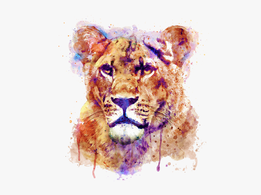 Lioness Art Transparent, HD Png Download, Free Download