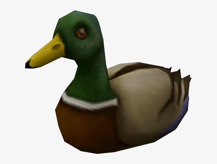 Mallard, HD Png Download, Free Download