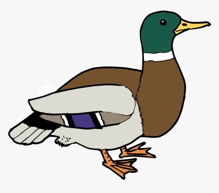Free Duck Ø¨ø - Free Duck, HD Download - kindpng
