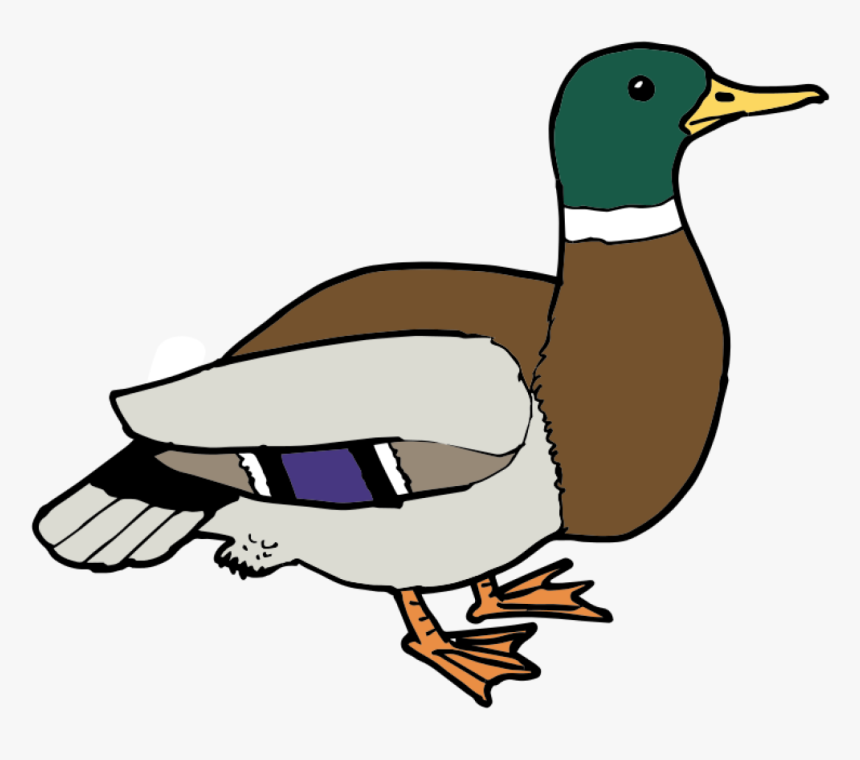 Free Duck Ø¨ø - Free Clipart Duck, HD Png Download, Free Download