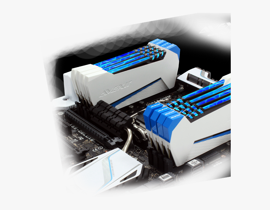 White And Blue Ram, HD Png Download, Free Download