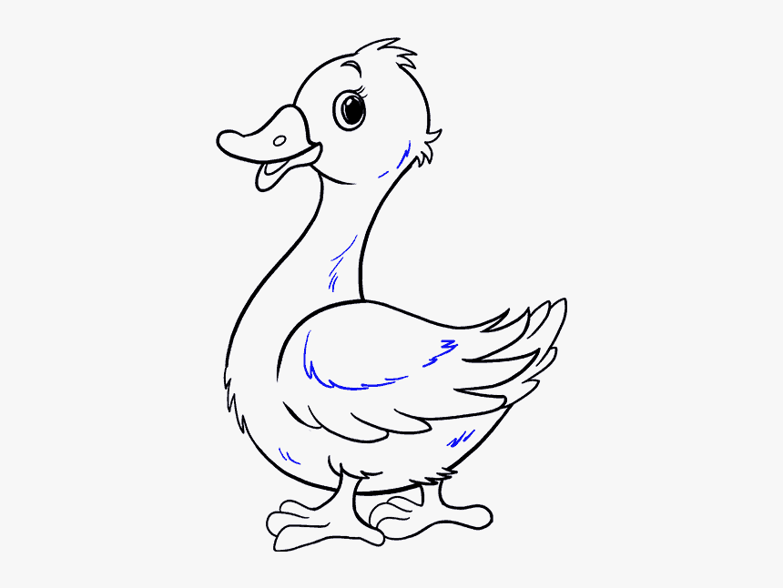 Clip Art Drawn Ducks - Duck Drawing Transparent, HD Png Download, Free Download