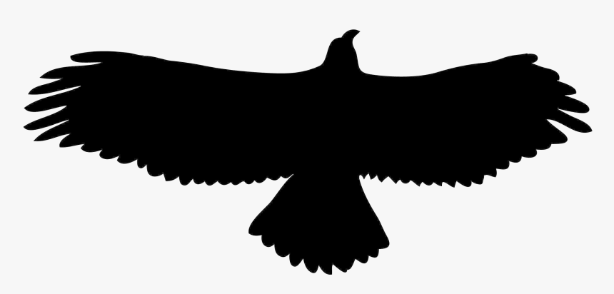 Eagle Golden Clipart Shadow X Free Clip Art Stock Transparent - Silhouette Eagle Clipart, HD Png Download, Free Download