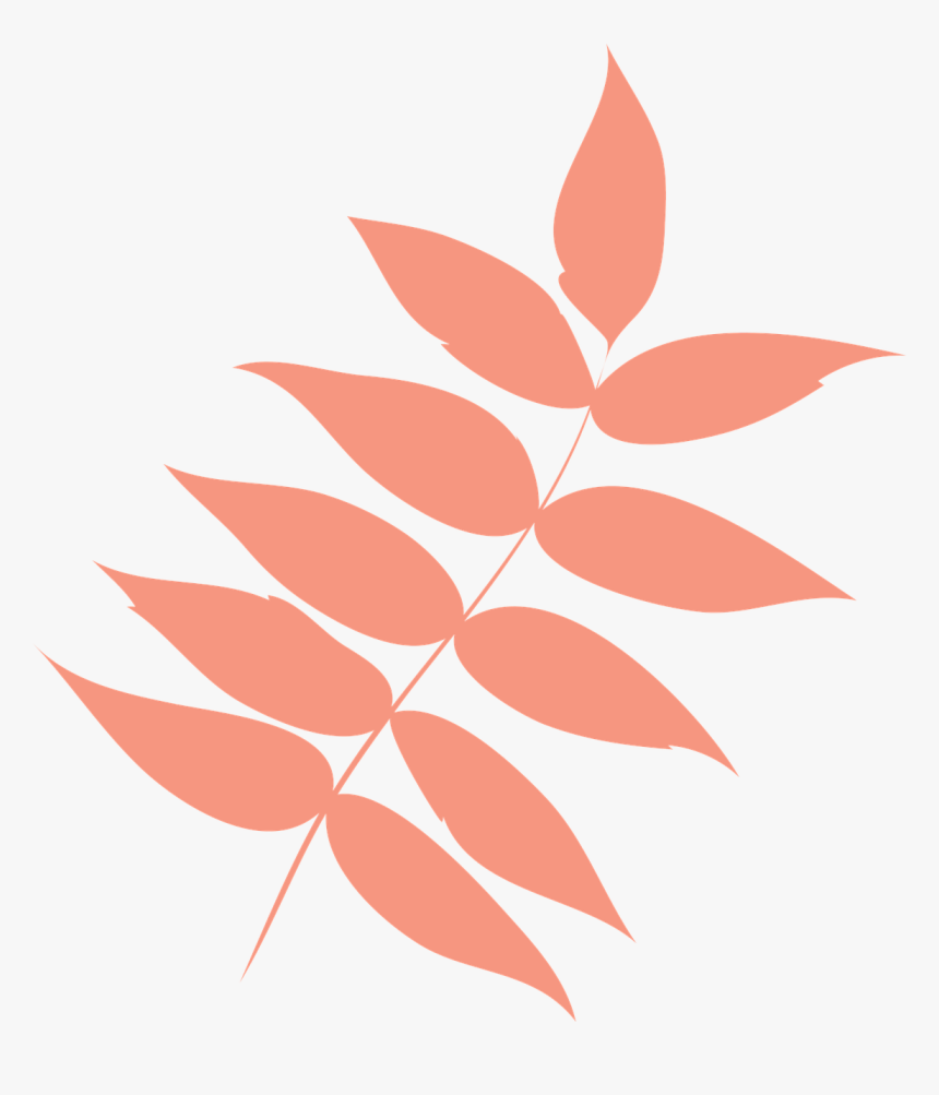 Leaf, Autumn Leaf, Dry Leaf, Leaf Ash, Icon, Colors - Leaf, HD Png Download, Free Download