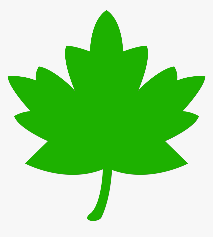 Icon, Leaf, Green, Tree, Nature, Leaves, Plant - Vector Leave, HD Png Download, Free Download