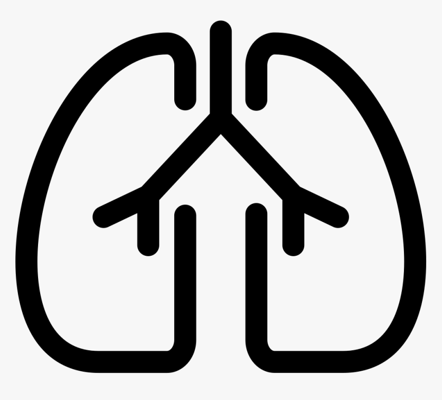 Transparent Lungs Png - Icon Lungs Free, Png Download, Free Download