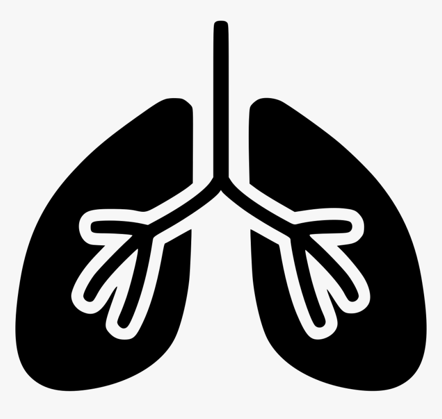 Lungs - Lungs In Green Colour, HD Png Download, Free Download
