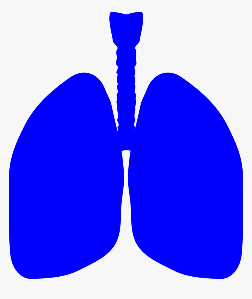 Blue Lungs Clipart, HD Png Download, Free Download