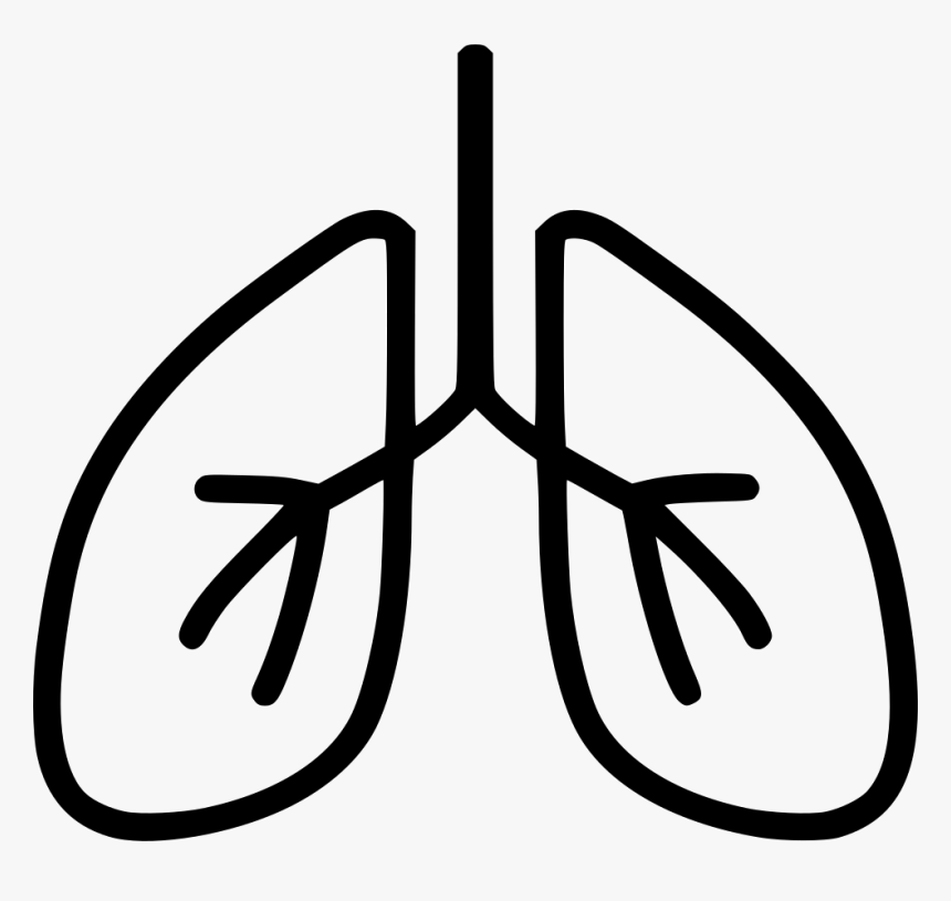 Lungs Svg Icon Free - Breathe Transparent, HD Png Download, Free Download