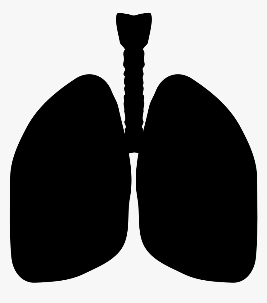 Lungs Silhouette - Lungs Clipart Silhouette, HD Png Download, Free Download