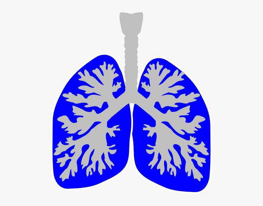 Lung Blue Svg Clip Arts - Lungs Clip Art, HD Png Download, Free Download