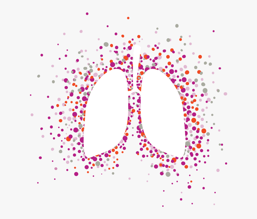 Lungs Png, Transparent Png, Free Download