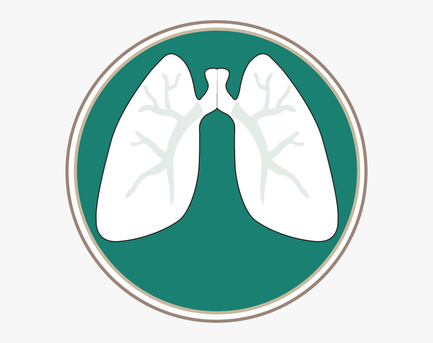 Southern Lung Specialists, Pc Logo - Lung Symbol, HD Png Download, Free Download
