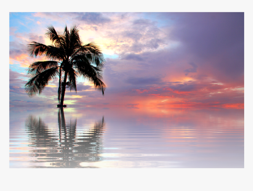 Download Nature Palm Water - Sunset Sea Nature, HD Png Download, Free Download