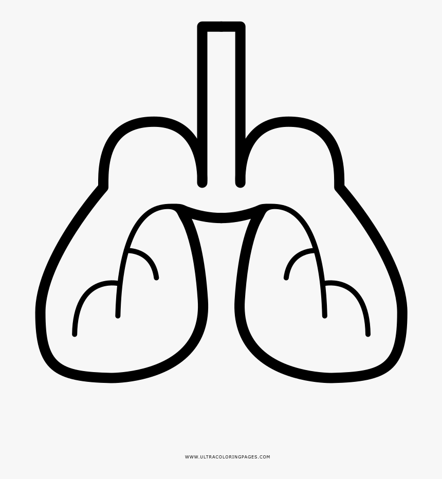 Lungs Coloring Page - Line Art, HD Png Download, Free Download