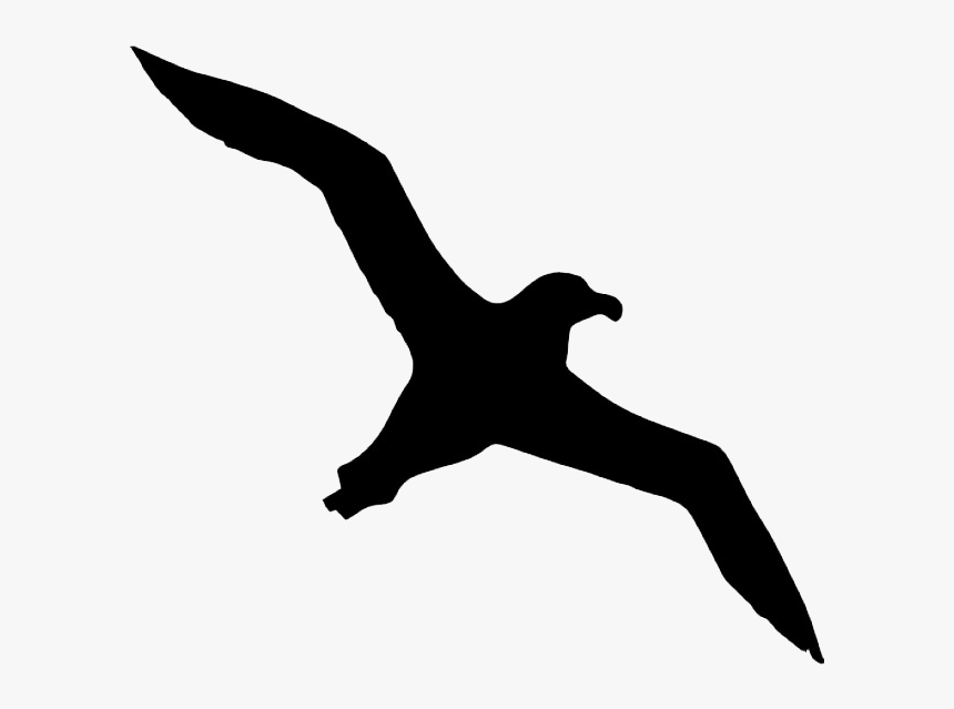 Bird Albatross Icon - Albatross Silhouette, HD Png Download, Free Download