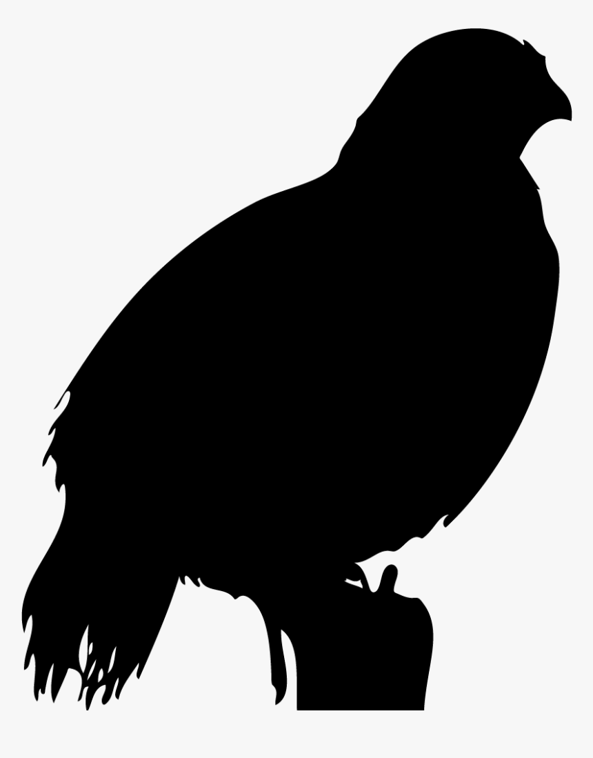 Buzzard, HD Png Download, Free Download