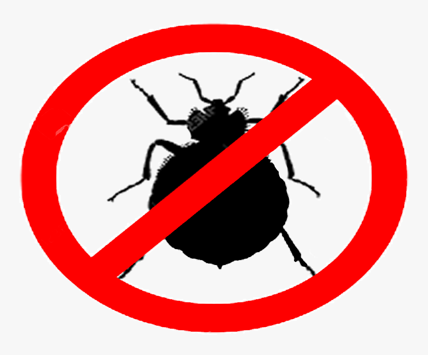 Bed Bugs Clipart , Png Download - Bed Bugs, Transparent Png, Free Download