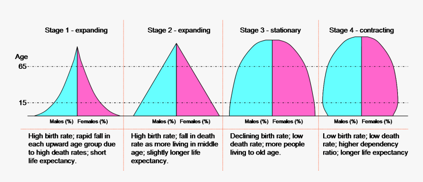 Dtm Pyramids Type 1 Population Pyramid Hd Png Download