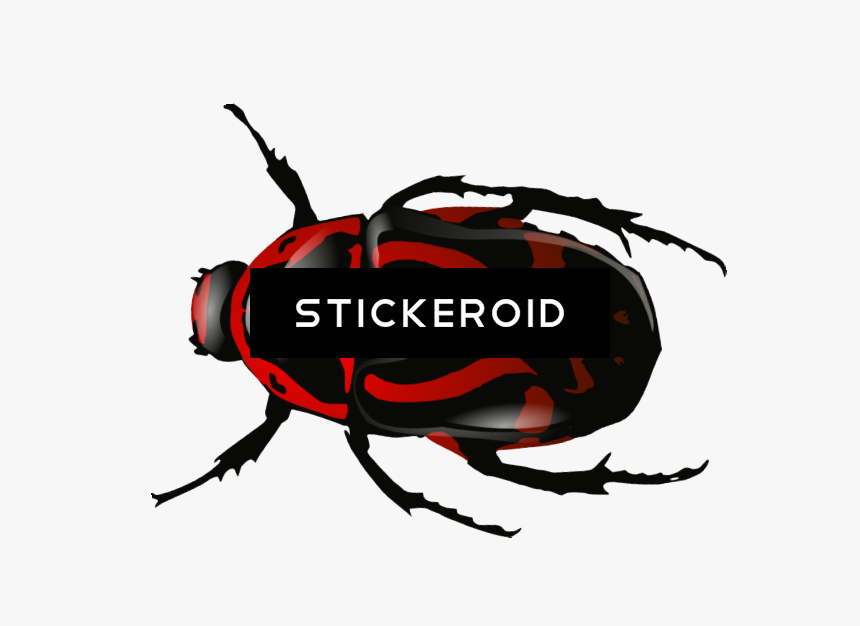 Roach Bug Bugs Insects - Beetle Clip Art, HD Png Download, Free Download