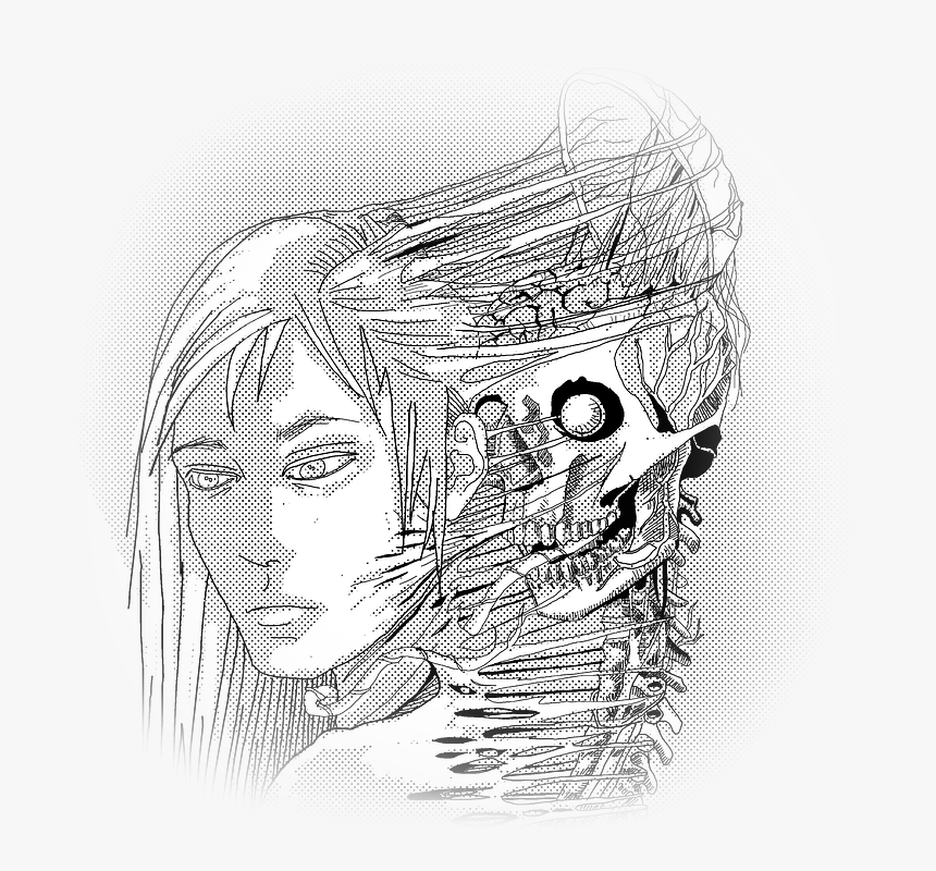 Skeleton, Man, Manga, Cartoon, Bw, Details, Living - Skeletons Sketches Face, HD Png Download, Free Download