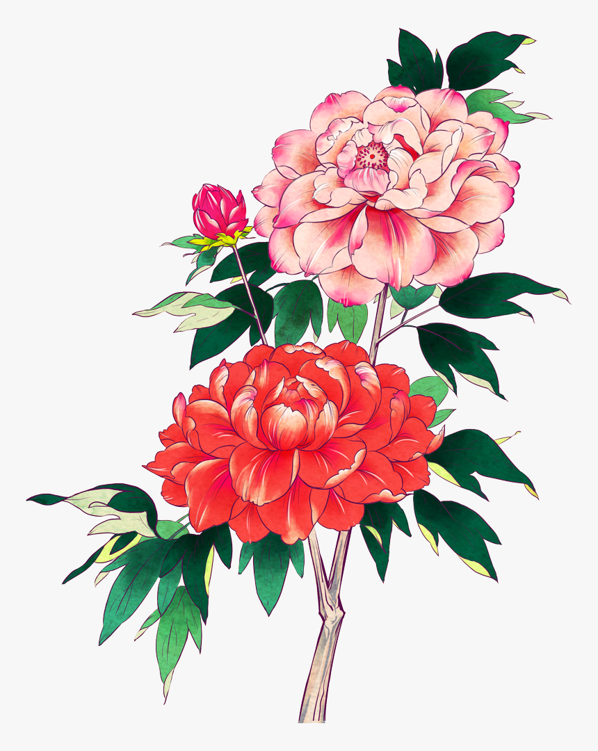 Manga Flowers Png - Common Peony, Transparent Png, Free Download