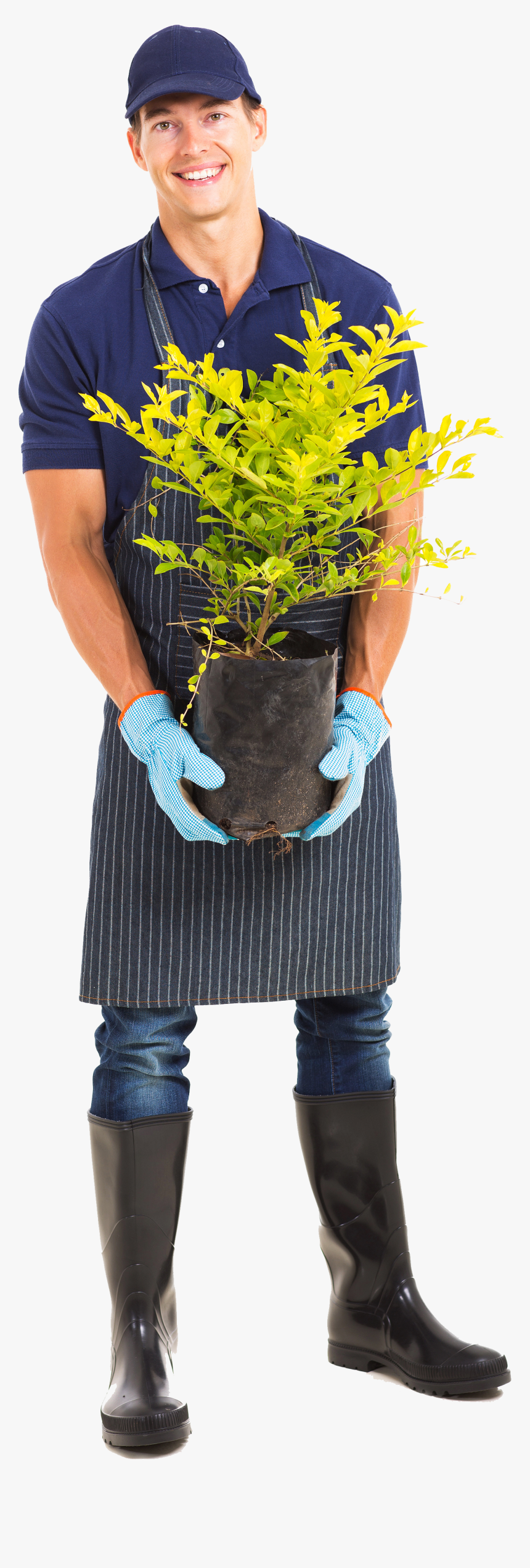 Man Gardening Png & Free Man Gardening Transparent, Png Download, Free Download