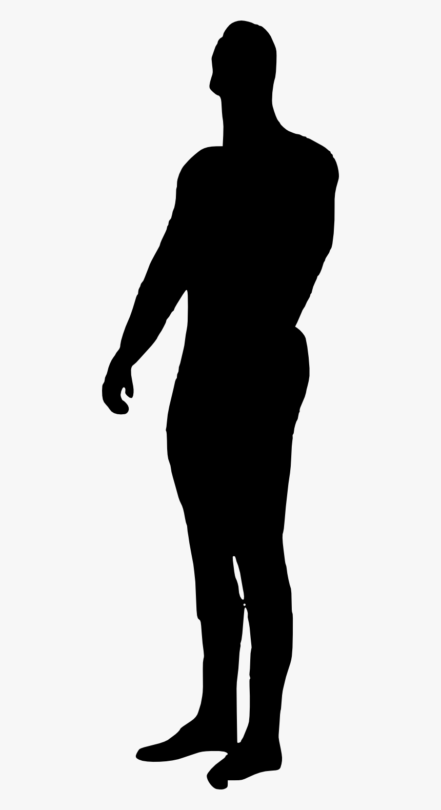Standing Black Bear Silhouette, HD Png Download, Free Download
