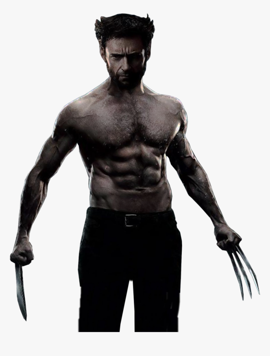 Wolverine Png Image - Wolverine Hugh Jackman White Background, Transparent Png, Free Download