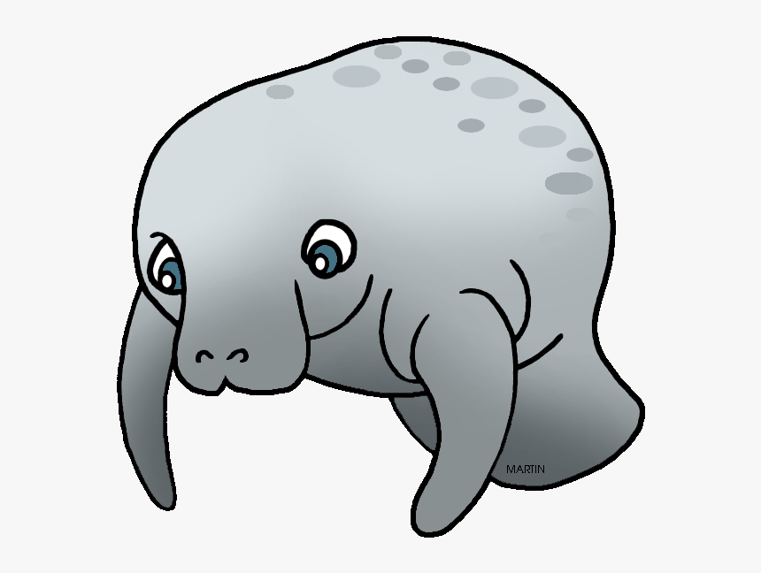 Manatee Cliparts Background - Clipart Manatee, HD Png Download, Free Download