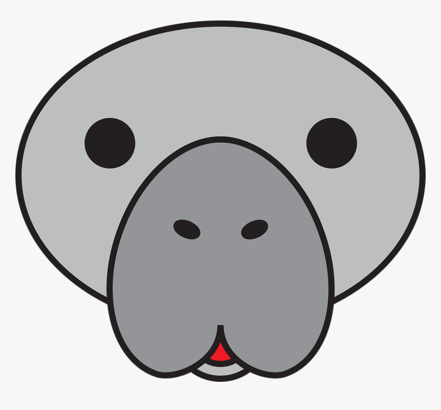 Manatee, Face, Cute, Sea, Mammal, Animal, Adorable - Manatee Face Drawing, HD Png Download, Free Download