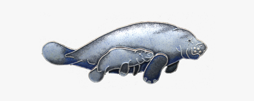 Dugong, HD Png Download, Free Download