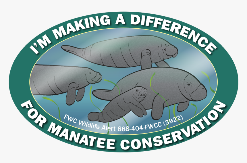 Manatee Decal - Arroz, HD Png Download, Free Download