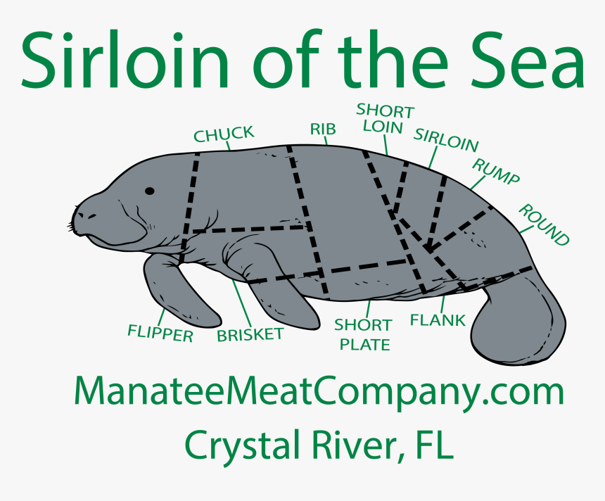 Sirloin Of The Sea Manatee, HD Png Download, Free Download