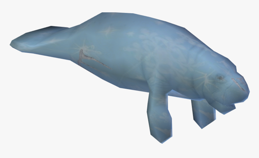 Whale, HD Png Download, Free Download