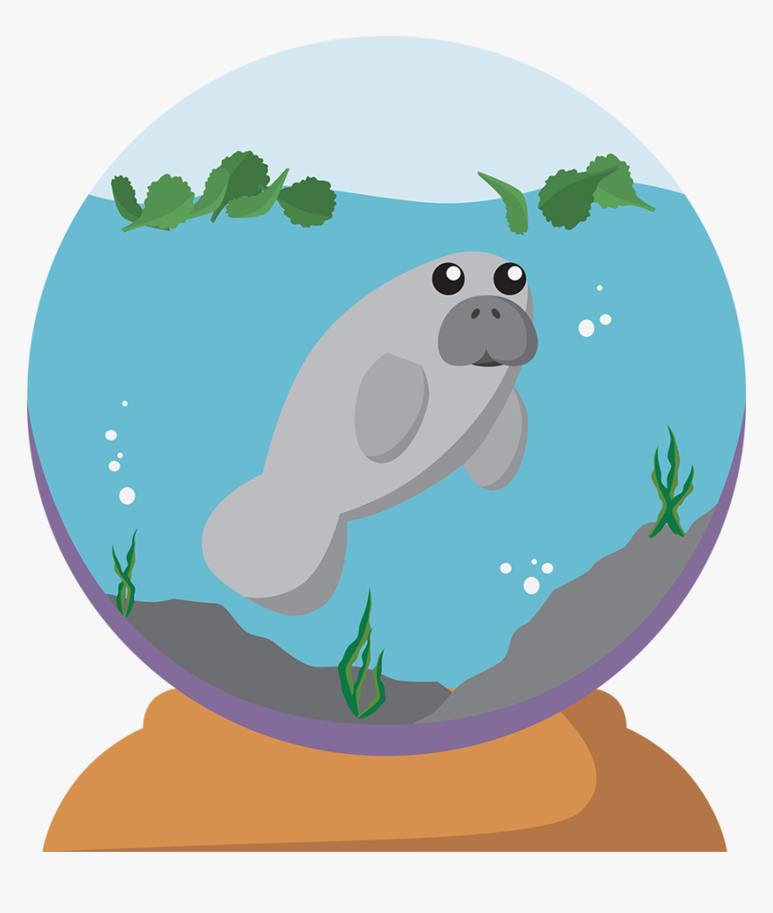 A Digital Work Of A Manatee In A Snow Globe - Cartoon, HD Png Download, Free Download