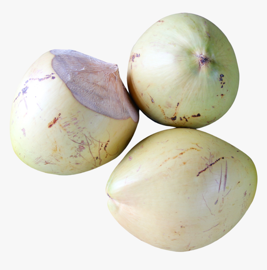 Coconut Top View Png, Transparent Png, Free Download