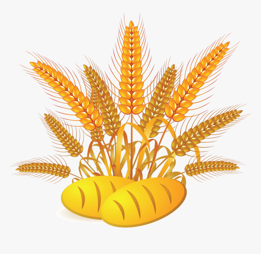 Free Png Wheat Png Images Transparent - Wheat Bread Clipart, Png Download, Free Download