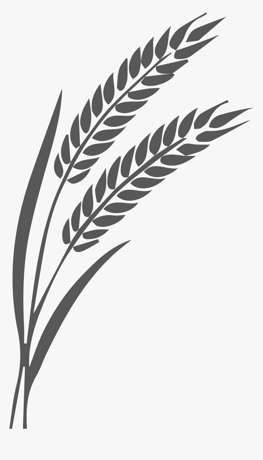 Wheat Silhouette Transparent, HD Png Download, Free Download